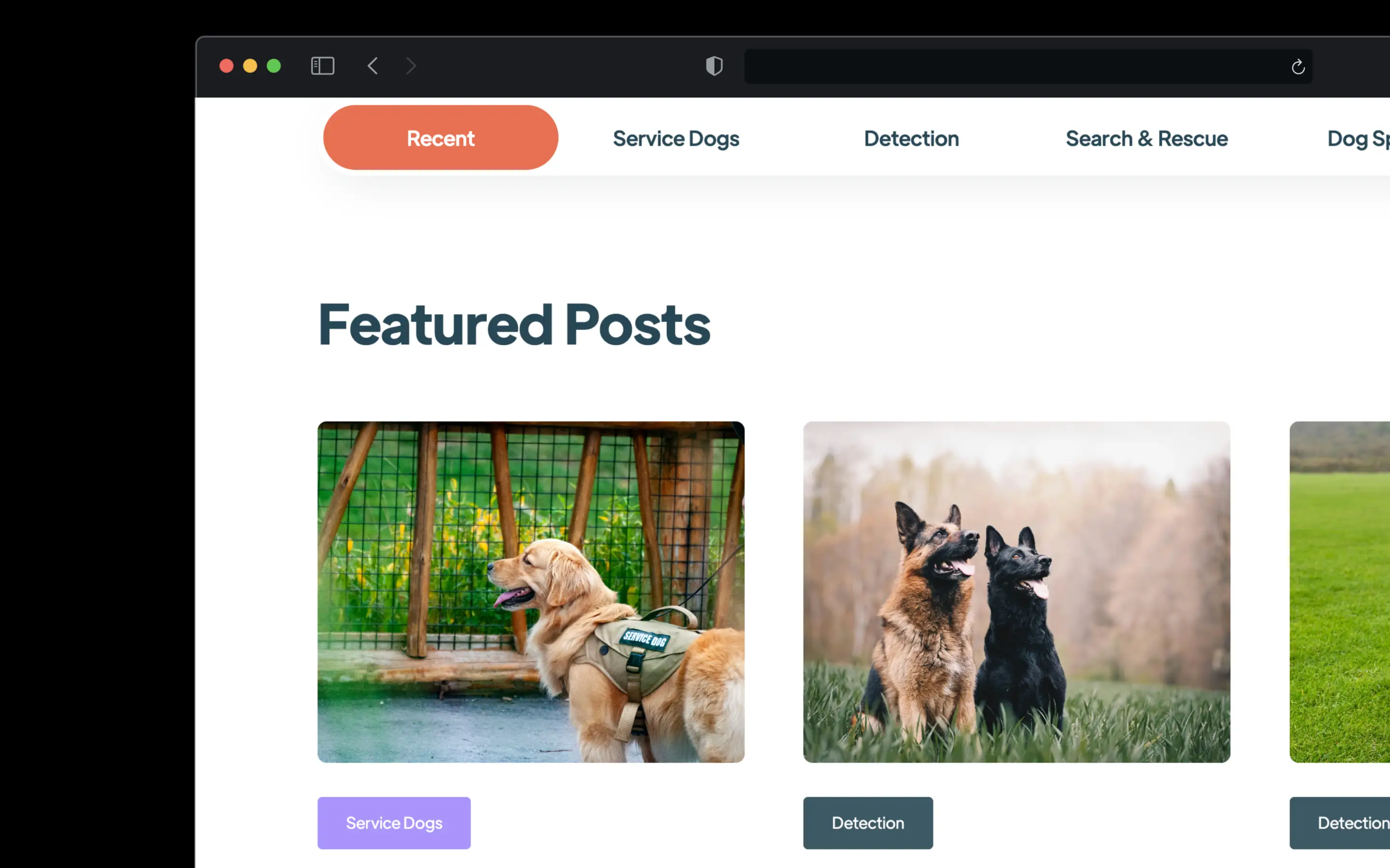 DogBase screenshot 2